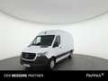 Mercedes-Benz Sprinter 319 CDI Kasten PRO Hochdach 3665 Aut. AHK Weiß - thumbnail 1