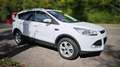Ford Kuga 1.5 EcoBoost 2x4 Individual - thumbnail 3