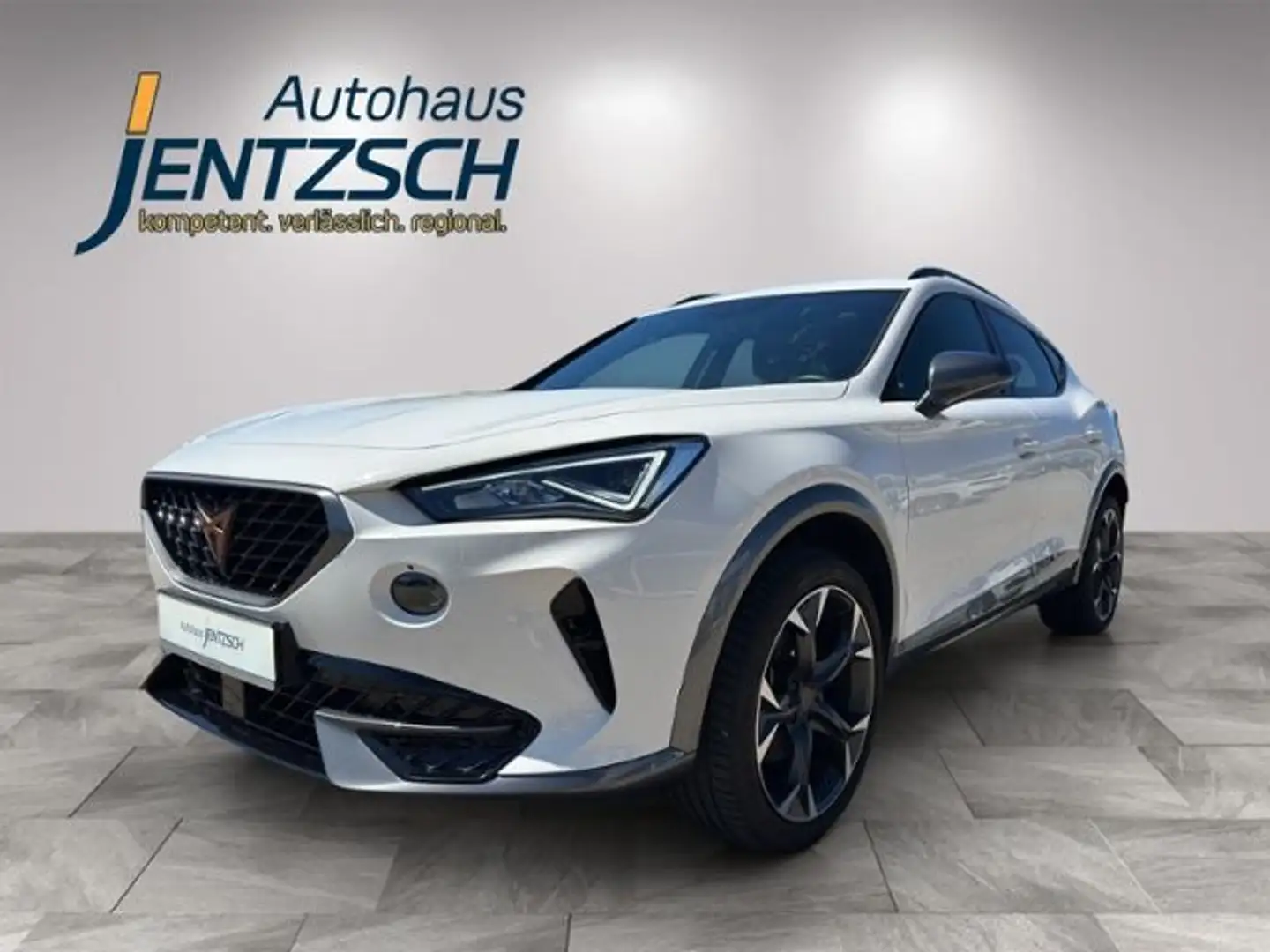 CUPRA Formentor DSG/LED/Side/19Zoll/APP Blanco - 2