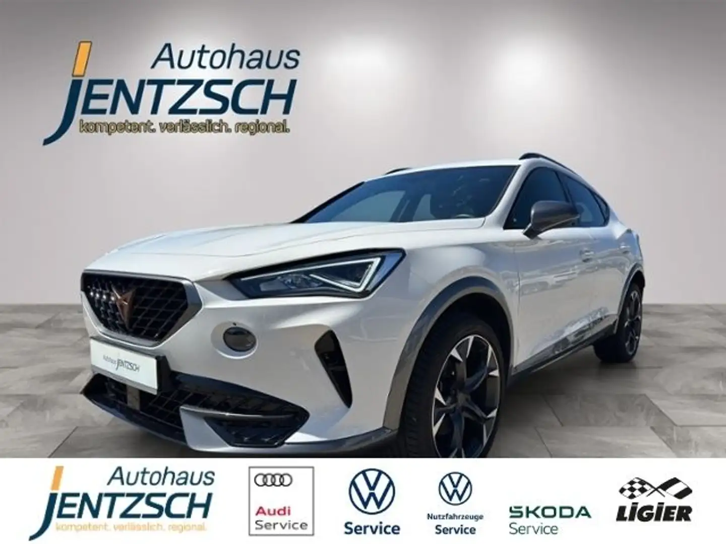 CUPRA Formentor DSG/LED/Side/19Zoll/APP Blanco - 1