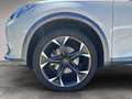 CUPRA Formentor DSG/LED/Side/19Zoll/APP Blanco - thumbnail 19