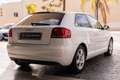 Audi A3 1.6TDI Ambition Blanc - thumbnail 25