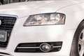 Audi A3 1.6TDI Ambition Blanc - thumbnail 21