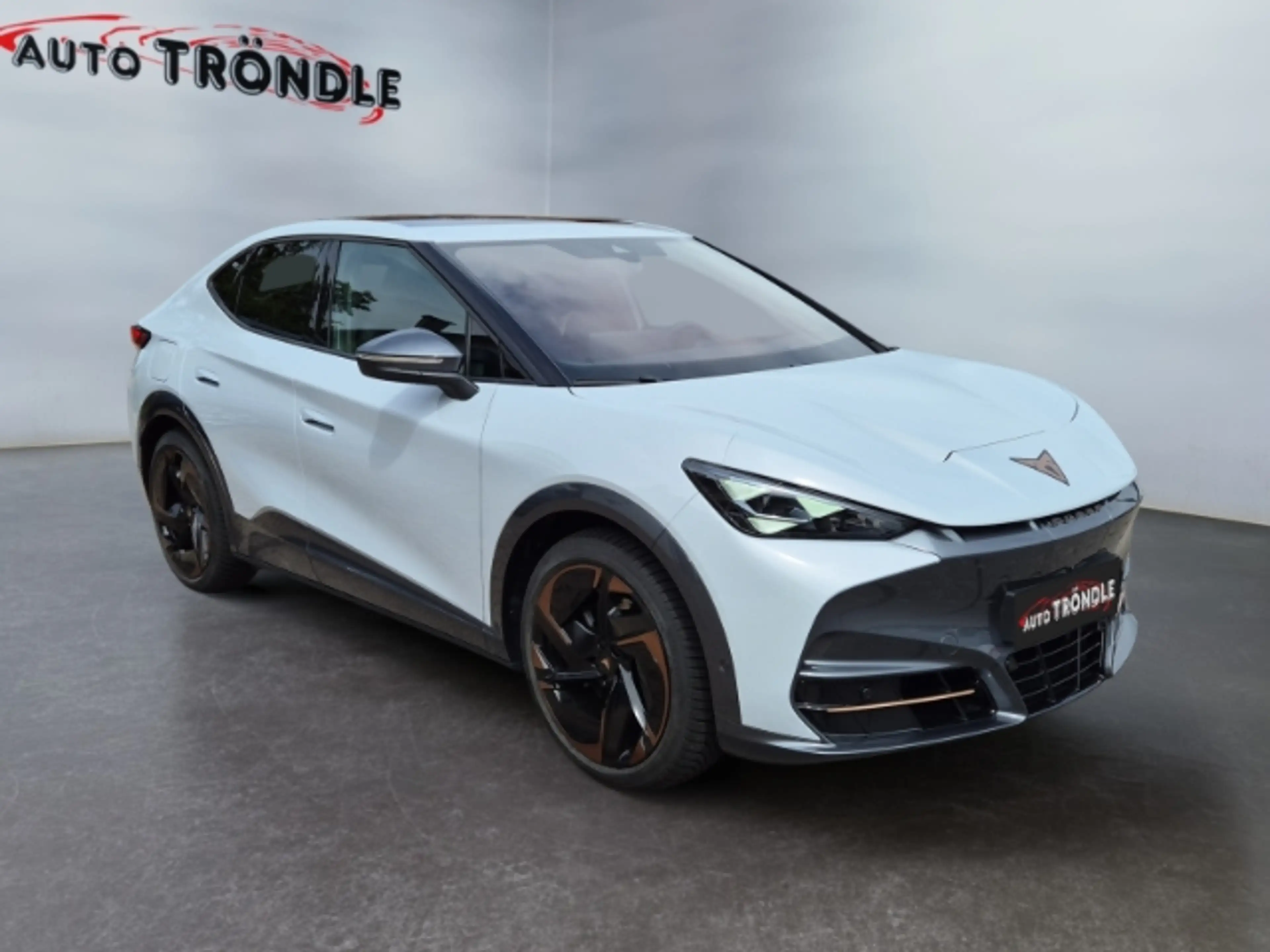 CUPRA Tavascan 4Drive +Glasdach +DCC +HuD +360 Kamera — photo 3