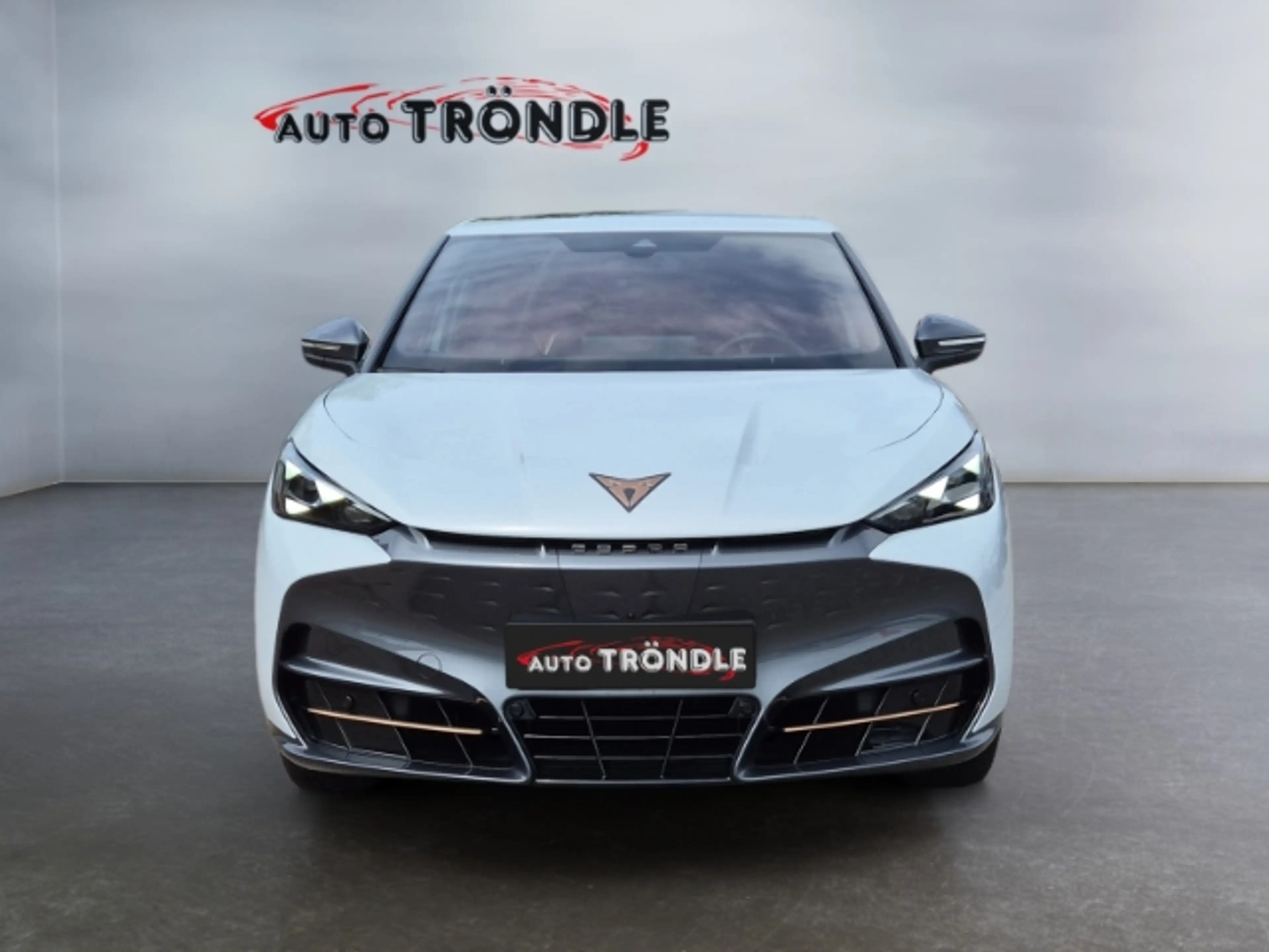 CUPRA Tavascan 4Drive +Glasdach +DCC +HuD +360 Kamera — photo 2