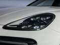 Porsche Cayenne Cayenne Coupe 4.0 GTS tiptronic Grigio - thumbnail 9
