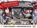 Ford Puma 1.0 ecoboost h st-line x s&s 125cv Rosso - thumbnail 10