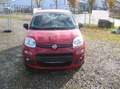 Fiat Panda Easy - Klima - 1.Hand .. Rot - thumbnail 2