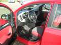 Fiat Panda Easy - Klima - 1.Hand .. Rot - thumbnail 6