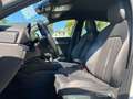 CUPRA Formentor 2.0 TDI 150CV Bianco - thumbnail 12