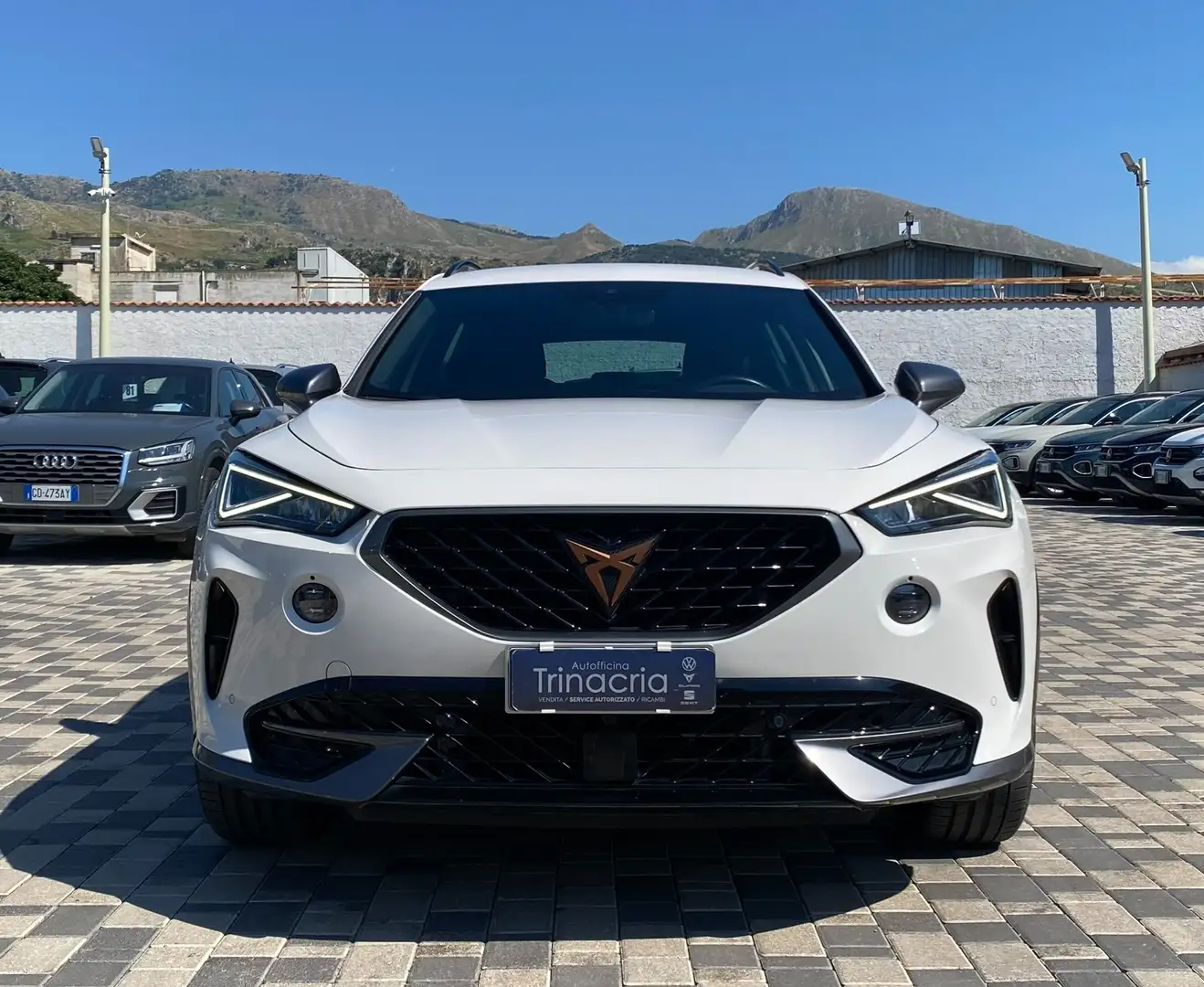 CUPRA Formentor 2.0 TDI 150CV Bianco - 2
