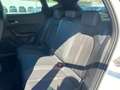 CUPRA Formentor 2.0 TDI 150CV Bianco - thumbnail 13