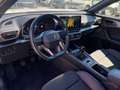 CUPRA Formentor 2.0 TDI 150CV Bianco - thumbnail 7
