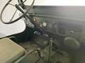 Jeep Willys Grün - thumbnail 11