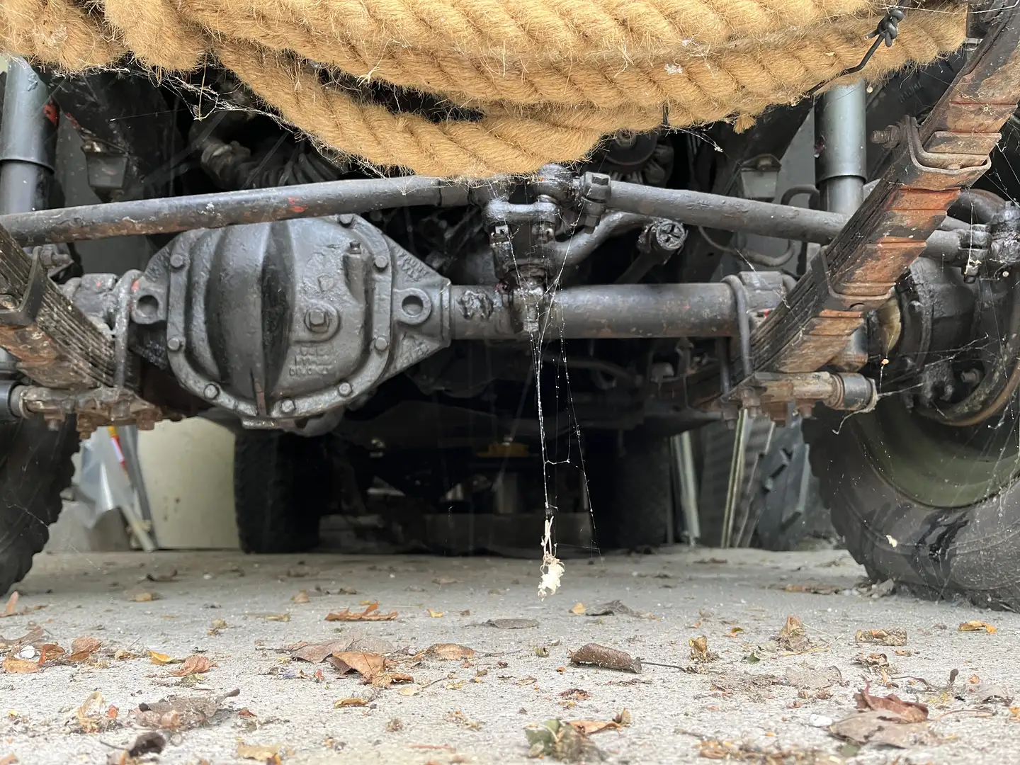Jeep Willys Grün - 2