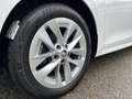 Skoda Octavia Combi 2,0 TDI Style | NP €42.000 Weiß - thumbnail 38