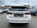 Skoda Octavia Combi 2,0 TDI Style | NP €42.000 Weiß - thumbnail 4