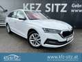 Skoda Octavia Combi 2,0 TDI Style | NP €42.000 Weiß - thumbnail 1