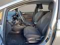 Ford Fiesta 5p 1.0 ecoboost h Titanium 125cv powershift Grigio - thumbnail 10