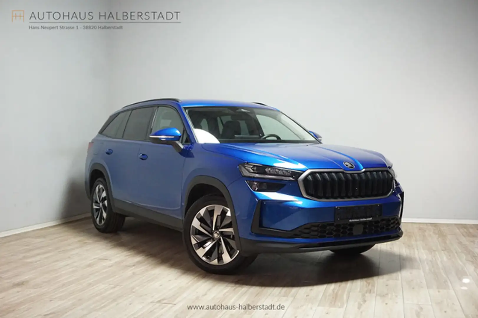 Skoda Kodiaq 2,0 TDI 4x4 Selection/Lounge/StHz/Canton Blu/Azzurro - 1