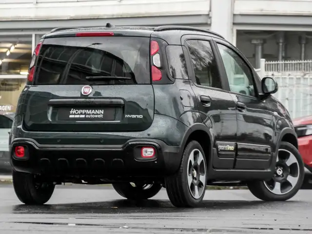 Fiat Panda view 2