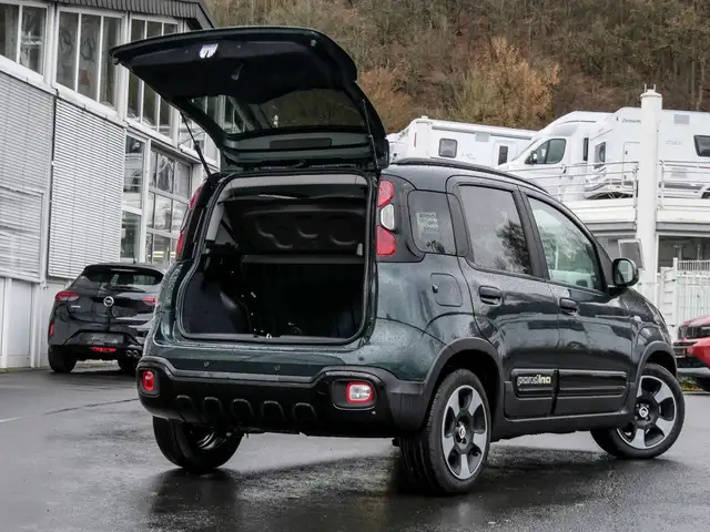 Fiat Panda view 15