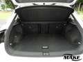 Volkswagen T-Roc Life 1.5 TSI DSG AHZV RFK LED ACC PLA ALU Weiß - thumbnail 6