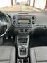 Volkswagen Golf Plus 1.6TDI Advance Blanco - thumbnail 14