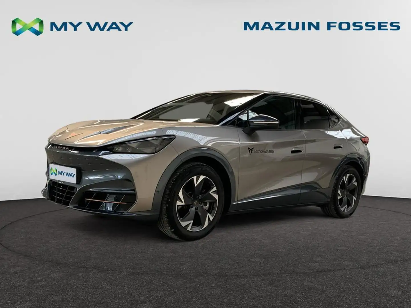 CUPRA Tavascan Tavascan Endurance Business 286ch (210kW) v 77 kWh Grijs - 1