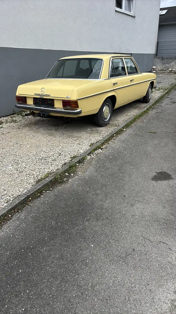 Mercedes-Benz W 114/115 Strich-Acht - 1