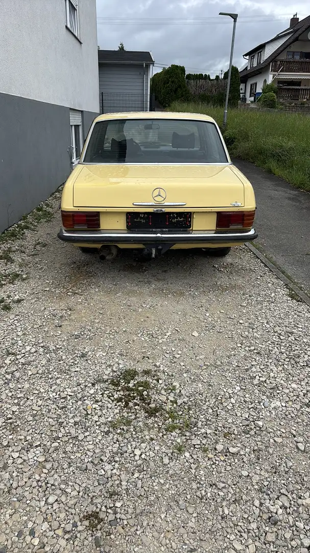 Mercedes-Benz W 114/115 Strich-Acht - 2