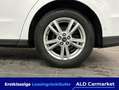 Ford Galaxy 2.0 EcoBlue S&S Aut. TITANIUM Kombi, 5-türig, Auto Weiß - thumbnail 7