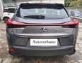 Lexus UX 250h 2.0 Business 2wd cvt my20 Nero - thumbnail 4