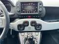 Fiat Panda 1.0 Hybrid City Cross |NAVI|CLIMA|CARPLAY|BLUETOOT Wit - thumbnail 12