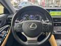Lexus RC 300h Business Line Pro | Eerste eigenaar, Facelift, Lee Grau - thumbnail 14