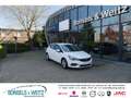 Opel Astra K LIM. 1.5 D BUSINESS EDITION LED Apple CarPlay An Blanco - thumbnail 1
