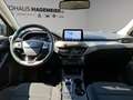 Ford Focus Turnier Titanium 1.0 Ecoboost Automatik Gris - thumbnail 8