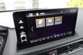 Honda Prelude ADVANCE +Black-Paket SOFORT! Grau - thumbnail 12