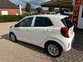 Kia Picanto +Scheckheft +Rückfahrkamera Weiß - thumbnail 8