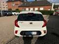 Kia Picanto +Scheckheft +Rückfahrkamera Weiß - thumbnail 6