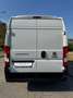 Fiat Ducato 35 2.3 MJT 140CV LH2 Furgone Maxi Blanc - thumbnail 11