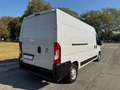 Fiat Ducato 35 2.3 MJT 140CV LH2 Furgone Maxi Blanc - thumbnail 5
