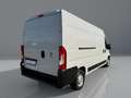 Fiat Ducato 35 2.3 MJT 140CV LH2 Furgone Maxi Bianco - thumbnail 6