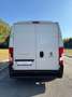 Fiat Ducato 35 2.3 MJT 140CV LH2 Furgone Maxi Blanc - thumbnail 8