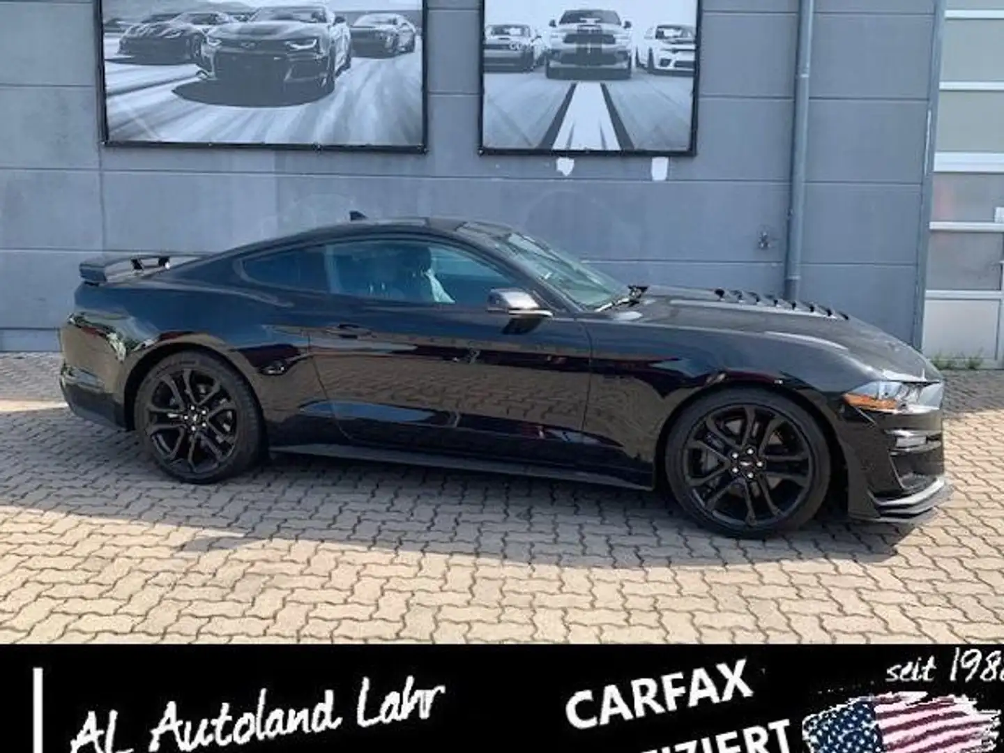 Ford Mustang 5.0 GT Shelby Look PREMIUM Carfax Schwarz - 1