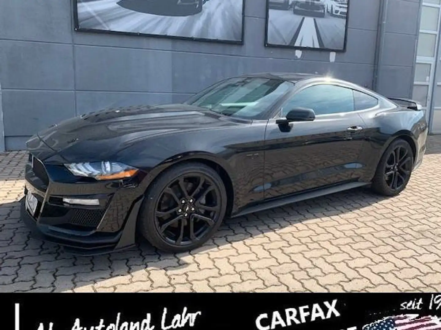 Ford Mustang 5.0 GT Shelby Look PREMIUM Carfax Schwarz - 2