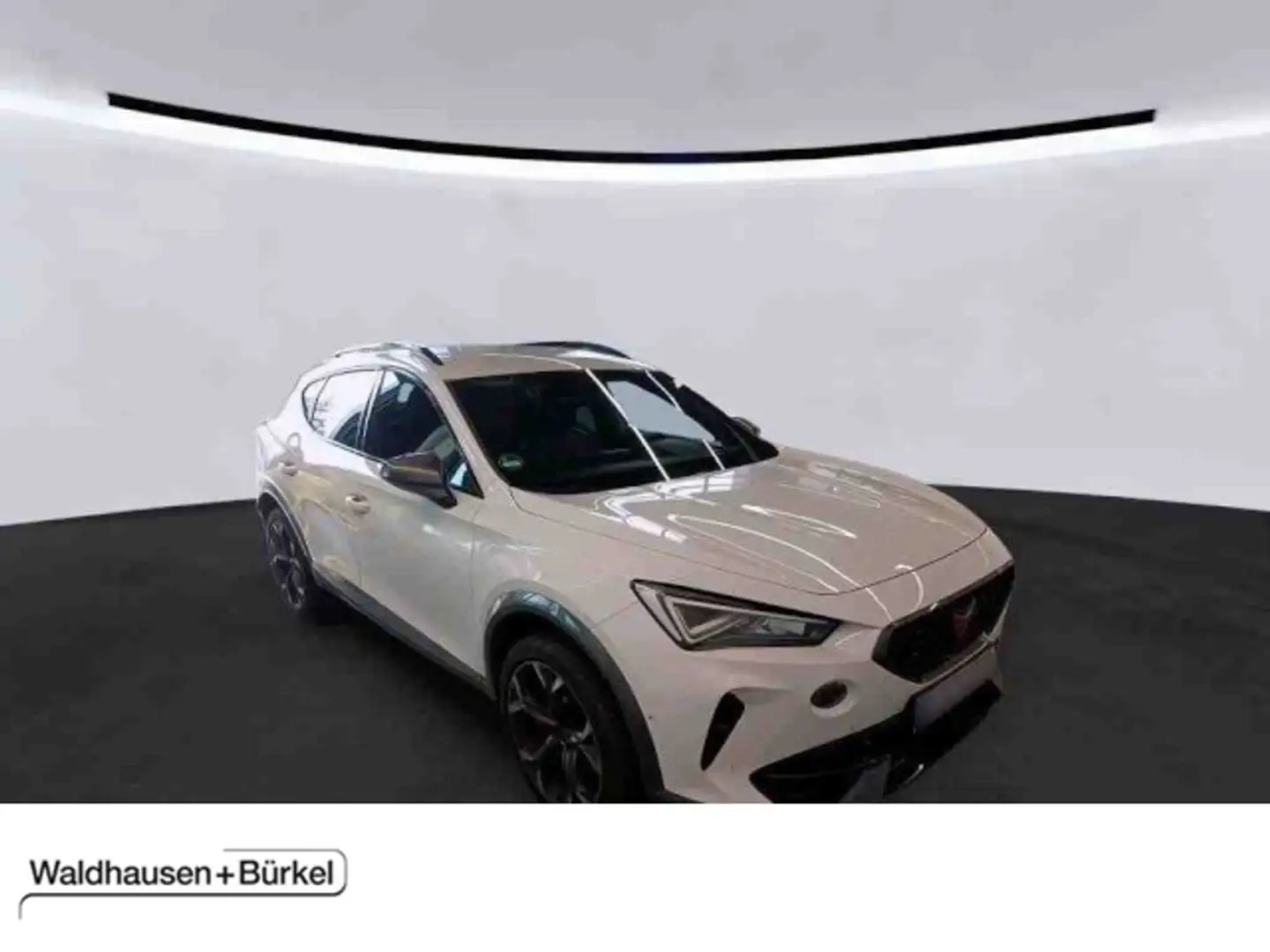 CUPRA Formentor 1.5 TSI DSG Kamera+FULL LINK+Navi Klima Navi Weiß - 1