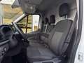 Ford Transit 330 L3H2 Trend 2.0 Eco MHEV 130 Cv - PDC Blanc - thumbnail 8
