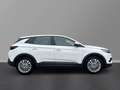 Opel Grandland X Edition Berganfahrass. Spieg. beheizbar Regensenso Weiß - thumbnail 6