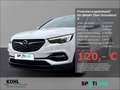 Opel Grandland X Edition Berganfahrass. Spieg. beheizbar Regensenso Weiß - thumbnail 1